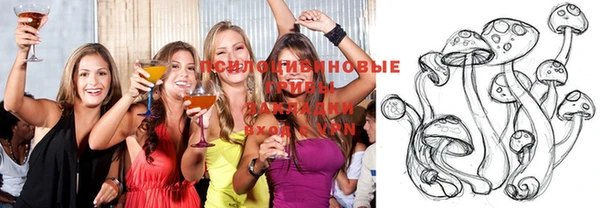 spice Арсеньев