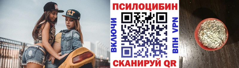 OMG рабочий сайт  Дорогобуж  Галлюциногенные грибы MAGIC MUSHROOMS 